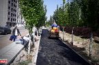 آسفالت ریزی ۲۴۱ تنی در سطح معابر شهرک خاوران طی هفته گذشته