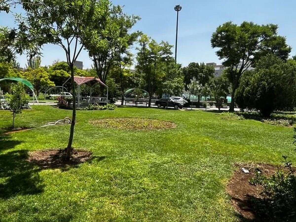 پارکهای جدید محلهای گامی برای احیای باغ شهر تبریز
