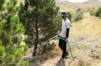 آبیاری منظم و دقیق فضاهای سبز شهری تبریز همزمان با افزایش دمای هوا