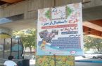 فضاسازی شهری طرح «استقبال از مهر» در سطح منطقه ۶ تبریز فضاسازی شهری طرح «استقبال از مهر» در سطح منطقه ۶ تبریز