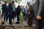 کاشت نهال و ساماندهی فضای سبز مدارس تبریز آغاز شد کاشت نهال و ساماندهی فضای سبز مدارس تبریز آغاز شد