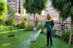 اجرای منظم آیتم آبیاری فضاهای سبز شهری تبریز اجرای منظم آیتم آبیاری فضاهای سبز شهری تبریز