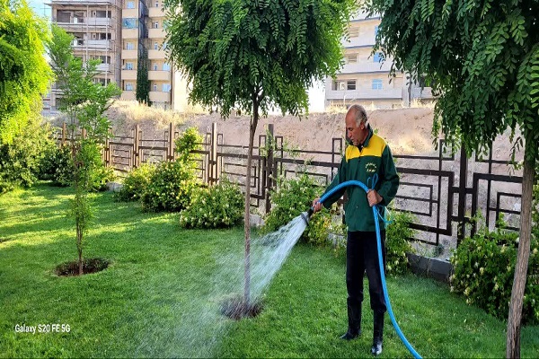 اجرای منظم آیتم آبیاری فضاهای سبز شهری تبریز