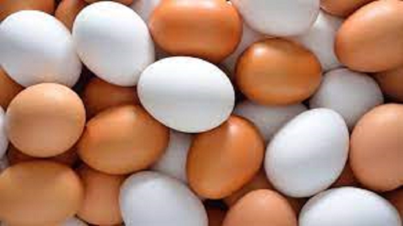 صادرات بیش از ۴ هزار تن تخممرغ خوراکی از آذربایجان شرقی