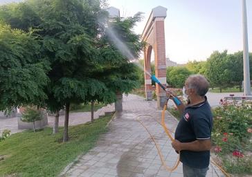 تداوم اجرای عملیات سمپاشی درختان در سطح شهر