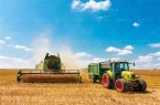 عبور خرید گندم در آذربایجان شرقی از مرز ۳۳۸ هزار تن/۹۳ درصد مطالبات پرداخت شد